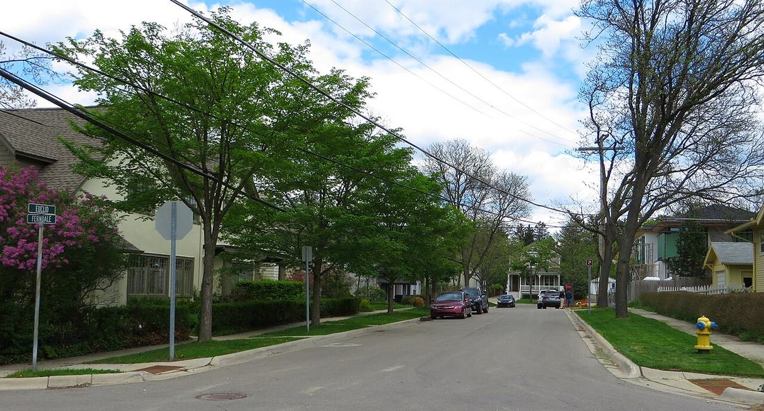 A tree-lined residential street in Birmingham, Michigan